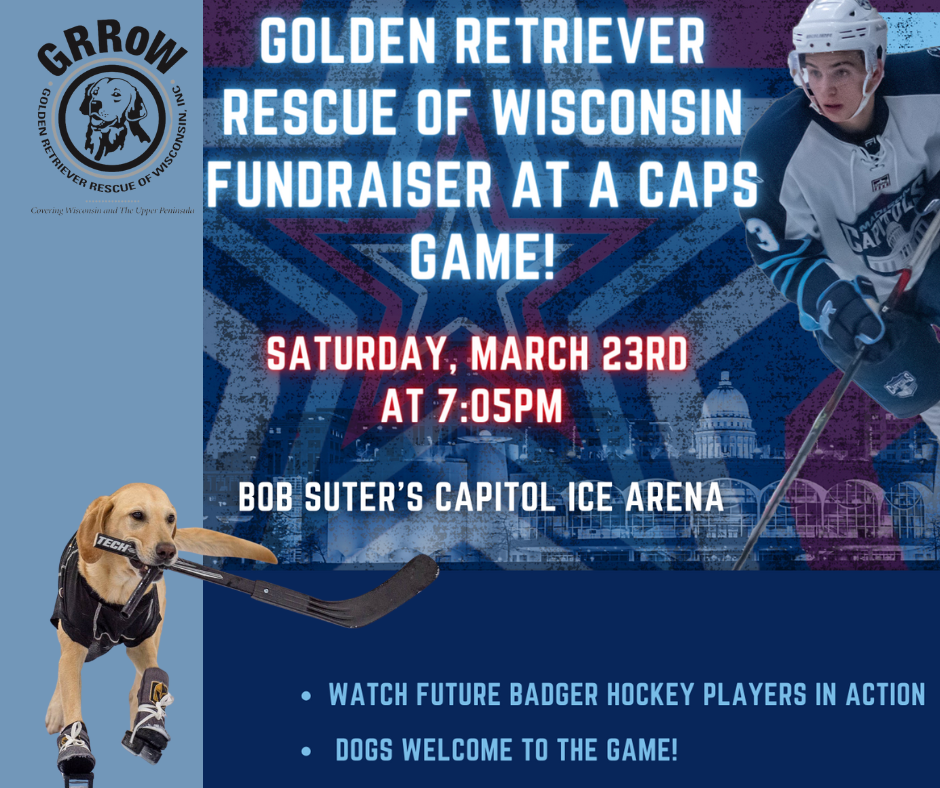 Bob's house sales for dogs wisconsin